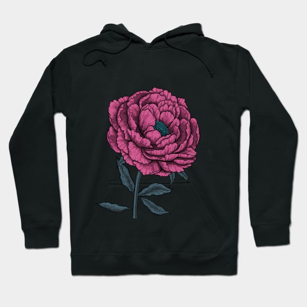 Peony drawing 3 Hoodie by katerinamk